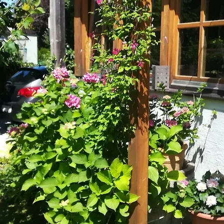 Wia Dahoam * Hallein